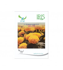 Marigold Yellow Iris F1 IHS-108 100 Seeds